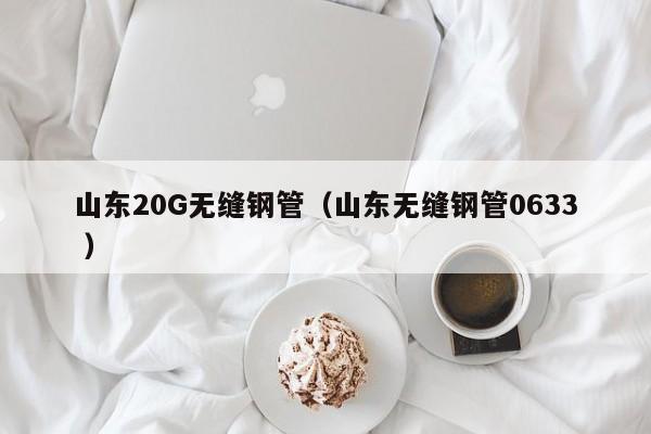 山東20G無(wú)縫鋼管（山東無(wú)縫鋼管0633 ）
