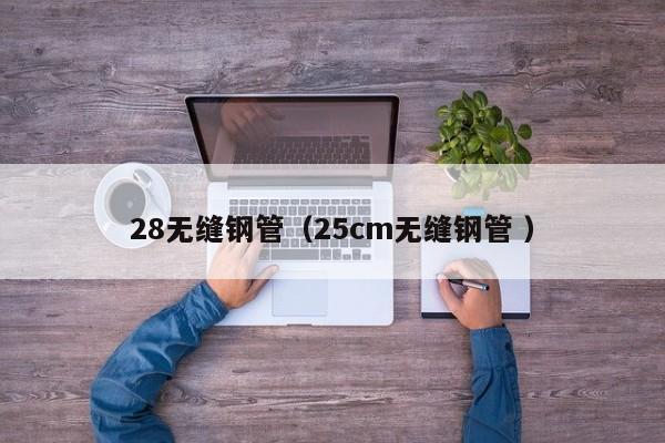 28無(wú)縫鋼管（25cm無(wú)縫鋼管 ）